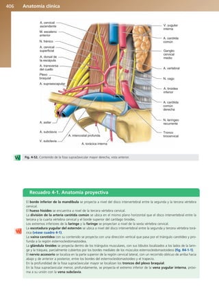Anatomía Clínica Pró.pdf