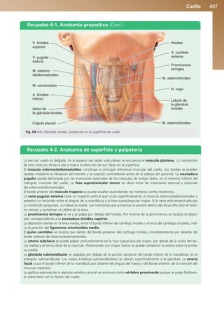 Anatomía Clínica Pró.pdf