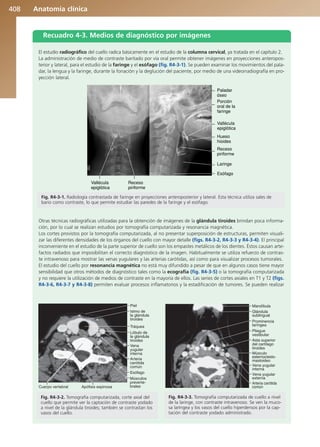 Anatomía Clínica Pró.pdf