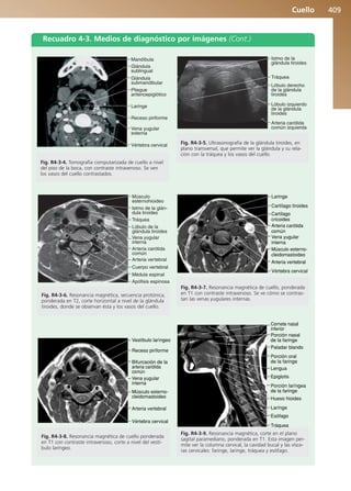 Anatomía Clínica Pró.pdf