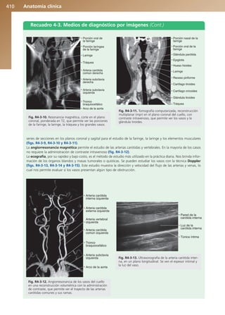 Anatomía Clínica Pró.pdf