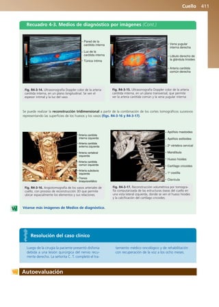 Anatomía Clínica Pró.pdf