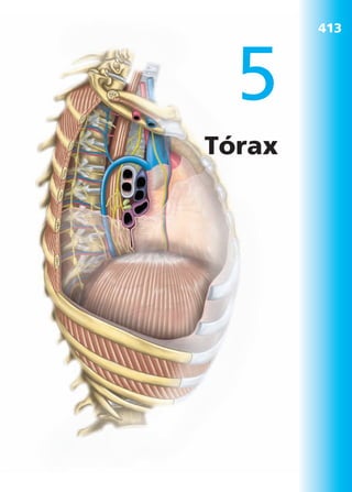 Anatomía Clínica Pró.pdf