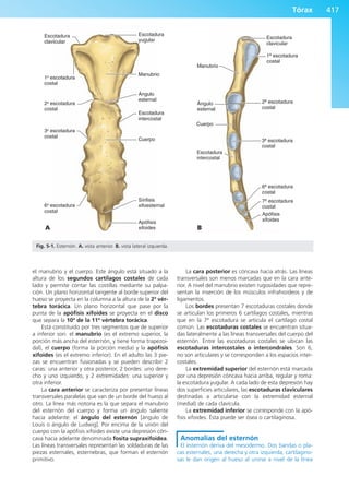 Anatomía Clínica Pró.pdf
