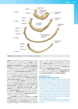 Anatomía Clínica Pró.pdf
