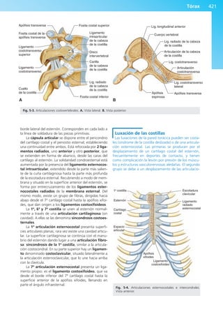 Anatomía Clínica Pró.pdf