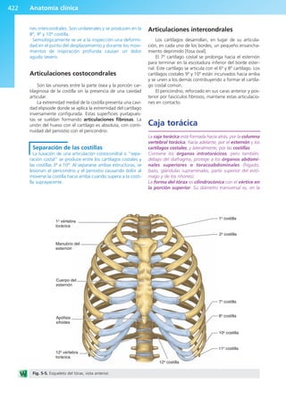 Anatomía Clínica Pró.pdf