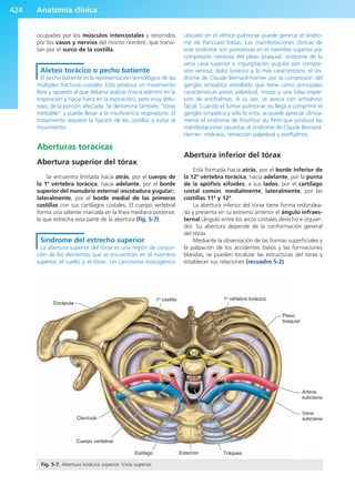 Anatomía Clínica Pró.pdf
