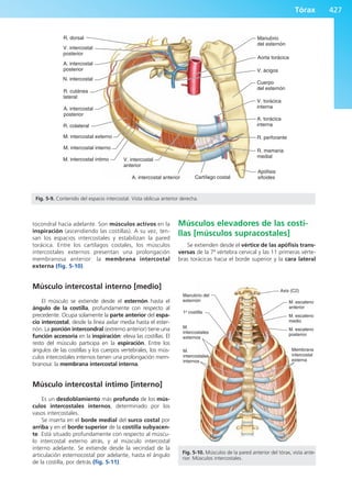 Anatomía Clínica Pró.pdf