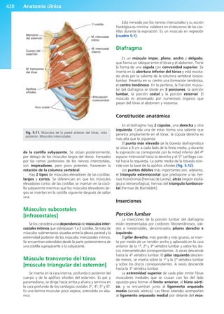 Anatomía Clínica Pró.pdf