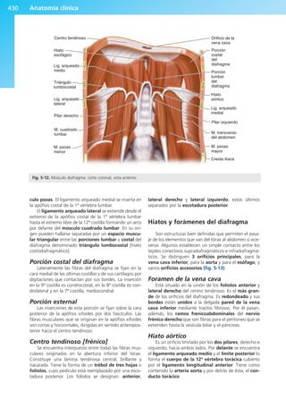 Anatomía Clínica Pró.pdf
