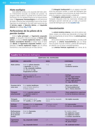 Anatomía Clínica Pró.pdf