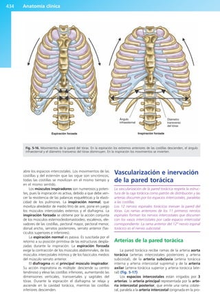 Anatomía Clínica Pró.pdf