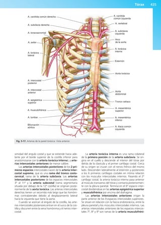 Anatomía Clínica Pró.pdf