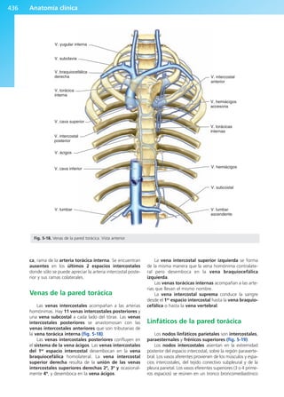 Anatomía Clínica Pró.pdf