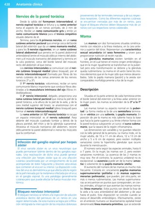 Anatomía Clínica Pró.pdf