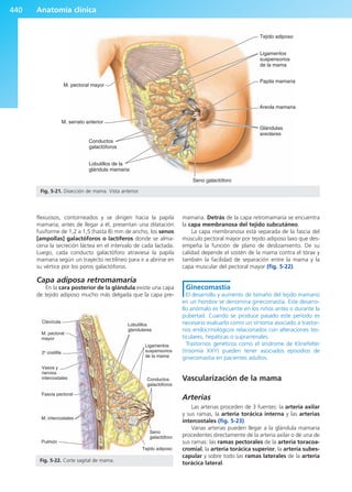 Anatomía Clínica Pró.pdf