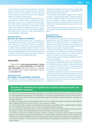 Anatomía Clínica Pró.pdf