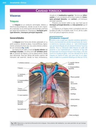 Anatomía Clínica Pró.pdf