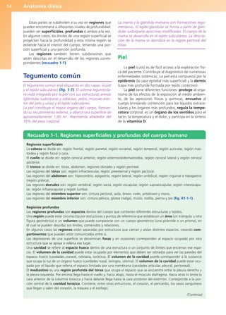 Anatomía clínica
14
Recuadro 1-1. Regiones superficiales y profundas del cuerpo humano
Regiones superficiales
La cabeza se divide en: región frontal, región parietal, región occipital, región temporal, región auricular, región mas-
toidea y región facial o cara.
El cuello se divide en: región cervical anterior, región esternocleidomastoidea, región cervical lateral y región cervical
posterior.
El tronco se divide en: tórax, abdomen, regiones dorsales y región perineal.
Las regiones del tórax son: región infraclavicular, región preesternal y región pectoral.
Las regiones del abdomen son: hipocondrio, epigastrio, región lateral, región umbilical, región inguinal e hipogastrio
(región púbica).
Las regiones dorsales son: región vertebral, región sacra, región escapular, región supraescapular, región interescapu-
lar, región infraescapular y región lumbar.
Las regiones del miembro superior son: cintura pectoral, axila, brazo, codo, antebrazo y mano.
Las regiones del miembro inferior son: cintura pélvica, glútea (nalga), muslo, rodilla, pierna y pie (fig. R1-1-1).
Regiones profundas
Las regiones profundas son espacios dentro del cuerpo que contienen diferentes estructuras y tejidos.
Una región puede estar circunscrita por estructuras y puntos de referencia que establecen un área (un triángulo u otra
figura geométrica) o un volumen que puede compararse con un cuerpo geométrico (una pirámide o un prisma), en
el cual se pueden describir sus límites, contenidos y relaciones.
En algunos casos las regiones están separadas por estructuras que cierran y aíslan distintos espacios, creando com-
partimentos que pueden estar comunicados entre sí.
Las depresiones de una superficie se denominan fosas y en ocasiones corresponden al espacio ocupado por otra
estructura que se apoya o rellena ese lugar.
Una cavidad se refiere al espacio hueco dentro de una estructura o un conjunto de límites que encierran ese espa-
cio. El volumen de la cavidad puede estar ocupado por elementos que deben ser retirados para ver las paredes del
espacio hueco (cavidades craneal, orbitaria, torácica). El volumen de la cavidad puede corresponder a la sustancia
que ocupa la luz de un órgano hueco (cavidades nasal, laríngea, uterina). El volumen de la cavidad puede estar ocu-
pado por el líquido que rellena el espacio limitado por una membrana (cavidades articular, pleural, peritoneal).
El mediastino es una región profunda del tórax que ocupa el espacio que se encuentra entre la pleura derecha y
la pleura izquierda. Por encima llega hasta el cuello y, hacia abajo, hasta el músculo diafragma. Hacia atrás lo limita la
cara anterior de la columna torácica y hacia delante llega hasta la cara posterior del esternón. Corresponde a la por-
ción central de la cavidad torácica. Contiene, entre otras estructuras, el corazón, el pericardio, los vasos sanguíneos
que llegan y salen del corazón, la tráquea y el esófago.
(Continúa)
Estas partes se subdividen a su vez en regiones que
pueden encontrarse a diferentes niveles de profundidad:
pueden ser superficiales, profundas o ambas a la vez.
En algunos casos, los límites de una región superficial se
proyectan hacia la profundidad y esta misma región se
extiende hacia el interior del cuerpo, teniendo una por-
ción superficial y una porción profunda.
Las regiones también tienen subdivisiones que
serán descritas en el desarrollo de las regiones corres-
pondientes (recuadro 1-1).
Tegumento común
El tegumento común está dispuesto en dos capas: la piel
y el tejido subcutáneo (fig. 1-7). El sistema tegumenta-
rio está integrado por la piel con sus estructuras anexas
(glándulas sudoríparas y sebáceas, pelos, músculo erec-
tor del pelo y uñas) y el tejido subcutáneo.
La piel constituye el mayor órgano del cuerpo, forman-
do su recubrimiento externo, y abarca una superficie de
aproximadamente 1,80 m2
. Representa alrededor del
16% del peso corporal.
La mama y la glándula mamaria son formaciones tegu-
mentarias. El tejido glandular se forma a partir de glán-
dulas sudoríparas apocrinas modificadas. El cuerpo de la
mama se desarrolla en el tejido subcutáneo. La descrip-
ción de la mama se abordará en la región pectoral del
tórax.
Piel
La piel (cutis) es de fácil acceso a la exploración físi-
ca del paciente. Contribuye al diagnóstico de numerosas
enfermedades sistémicas. La piel está compuesta por la
epidermis (la capa epitelial más superficial) y la dermis
(capa más profunda formada por tejido conectivo).
La piel tiene diferentes funciones: protege al orga-
nismo de los efectos de la exposición al medio ambien-
te, de las agresiones físicas y químicas; envuelve al
cuerpo brindando contención para los líquidos extrace-
lulares y los órganos más profundos; regula la tempe-
ratura corporal; es un órgano de los sentidos para el
tacto, la temperatura y el dolor, y participa en la síntesis
de la vitamina D.
b027-01.qxd 7/14/11 12:48 PM Page 14
ERRNVPHGLFRVRUJ
 