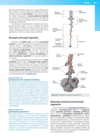Anatomía Clínica Pró.pdf