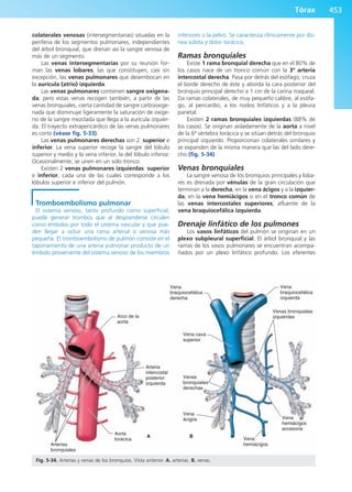 Anatomía Clínica Pró.pdf