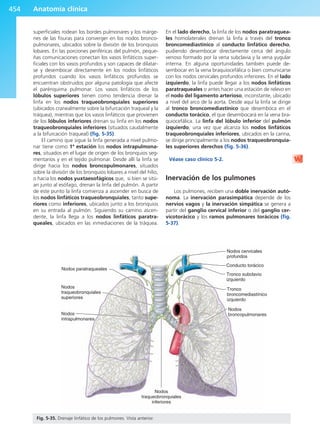 Anatomía Clínica Pró.pdf