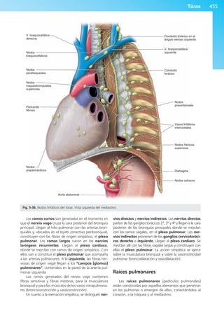 Anatomía Clínica Pró.pdf