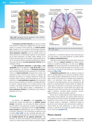 Anatomía Clínica Pró.pdf