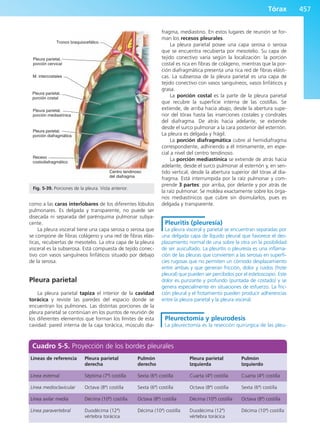 Anatomía Clínica Pró.pdf