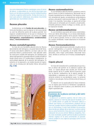 Anatomía Clínica Pró.pdf