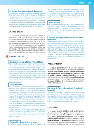 Anatomía Clínica Pró.pdf