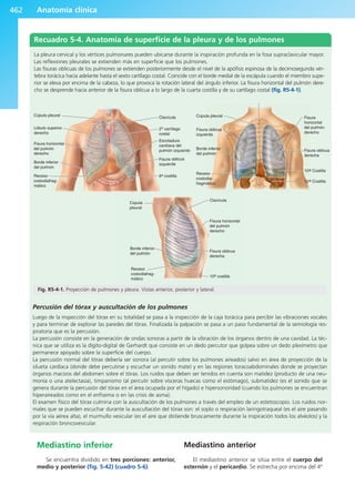 Anatomía Clínica Pró.pdf