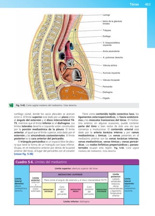 Anatomía Clínica Pró.pdf