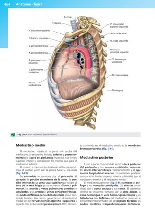 Anatomía Clínica Pró.pdf