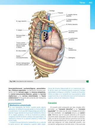 Anatomía Clínica Pró.pdf
