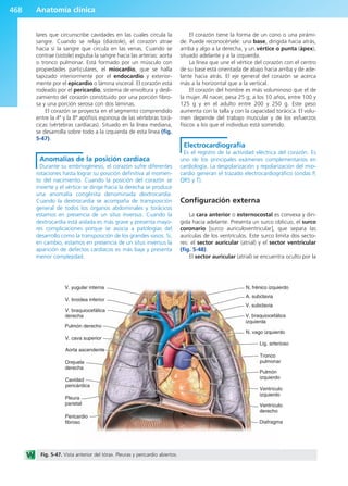 Anatomía Clínica Pró.pdf