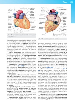 Anatomía Clínica Pró.pdf