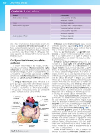 Anatomía Clínica Pró.pdf