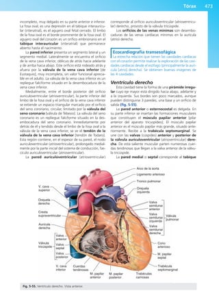 Anatomía Clínica Pró.pdf