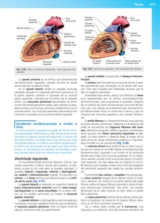 Anatomía Clínica Pró.pdf