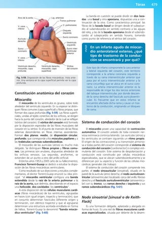 Anatomía Clínica Pró.pdf