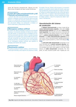 Anatomía Clínica Pró.pdf
