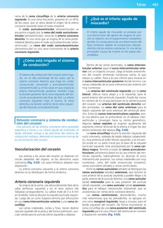 Anatomía Clínica Pró.pdf