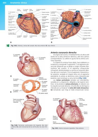 Anatomía Clínica Pró.pdf