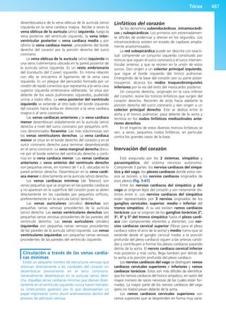 Anatomía Clínica Pró.pdf