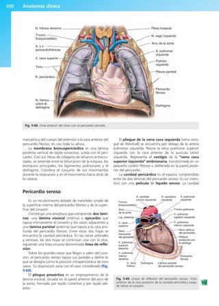 Anatomía Clínica Pró.pdf