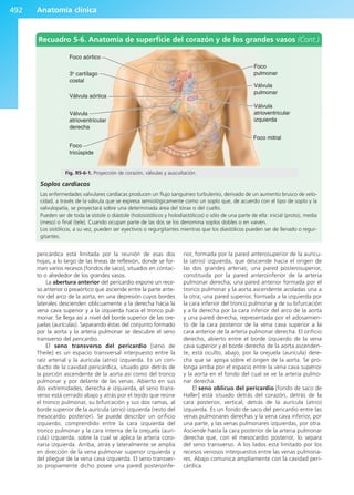 Anatomía Clínica Pró.pdf