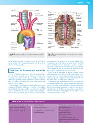 Anatomía Clínica Pró.pdf