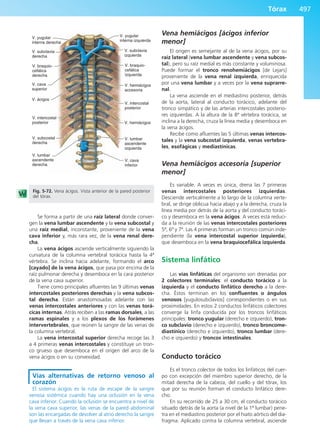 Anatomía Clínica Pró.pdf